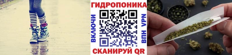 Конопля AK-47 Находка